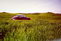 Citroen DS..